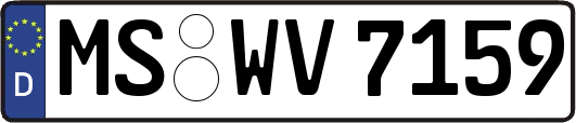 MS-WV7159