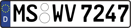 MS-WV7247