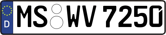 MS-WV7250