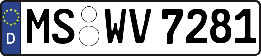 MS-WV7281