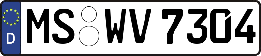 MS-WV7304