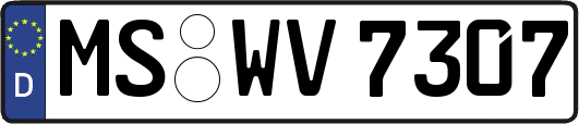 MS-WV7307