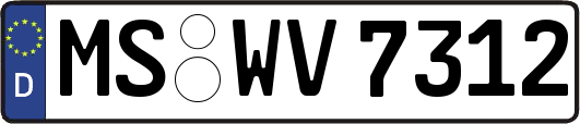 MS-WV7312