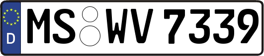 MS-WV7339