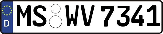 MS-WV7341