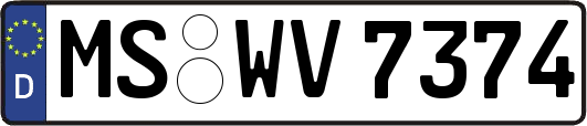 MS-WV7374