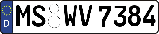 MS-WV7384