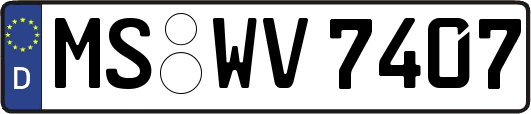 MS-WV7407