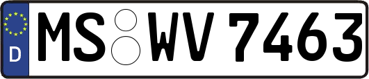 MS-WV7463