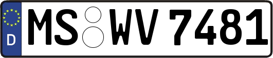MS-WV7481