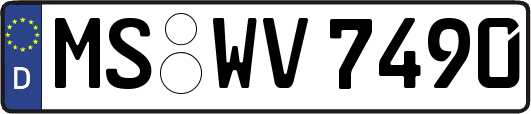 MS-WV7490