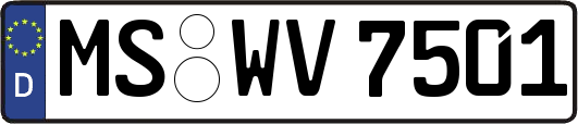 MS-WV7501