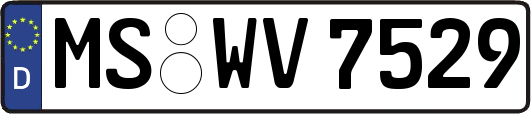 MS-WV7529