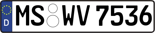 MS-WV7536