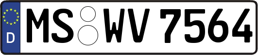 MS-WV7564