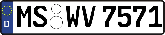 MS-WV7571