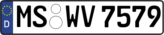 MS-WV7579