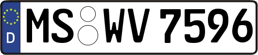 MS-WV7596