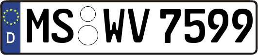 MS-WV7599