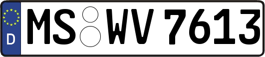 MS-WV7613