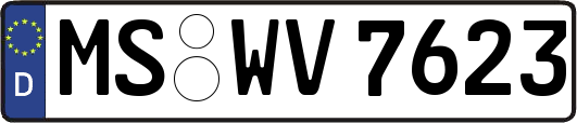 MS-WV7623
