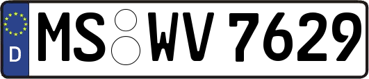 MS-WV7629