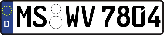 MS-WV7804