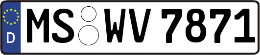 MS-WV7871