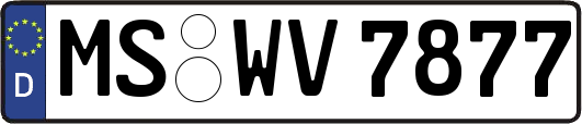 MS-WV7877