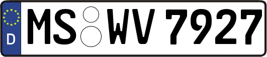 MS-WV7927