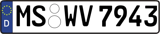 MS-WV7943