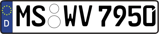 MS-WV7950