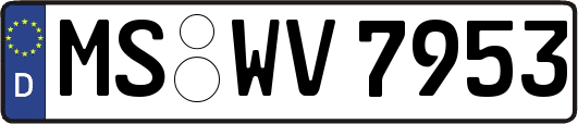 MS-WV7953