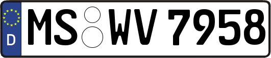 MS-WV7958