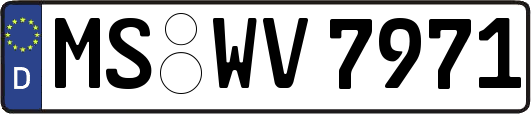 MS-WV7971