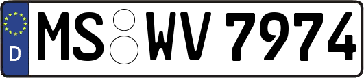 MS-WV7974