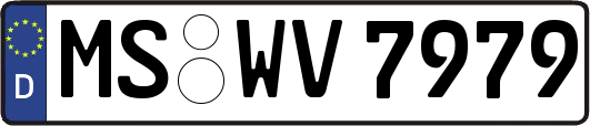 MS-WV7979