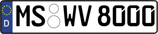 MS-WV8000