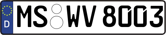 MS-WV8003