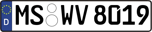 MS-WV8019
