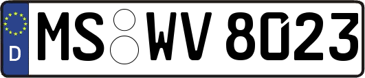 MS-WV8023