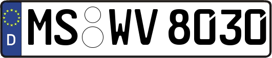 MS-WV8030