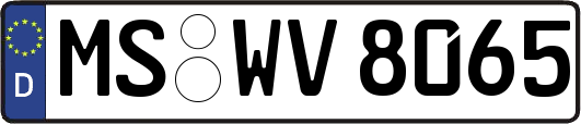 MS-WV8065