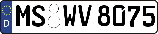 MS-WV8075
