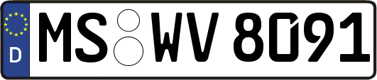 MS-WV8091