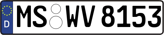 MS-WV8153