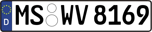 MS-WV8169