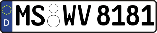 MS-WV8181