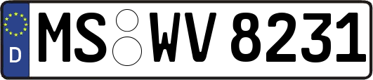 MS-WV8231