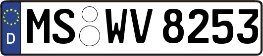 MS-WV8253